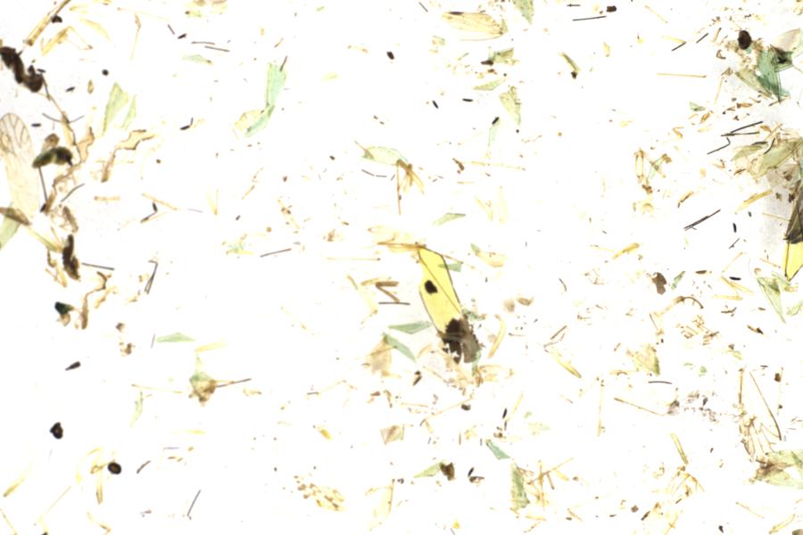 Image 63